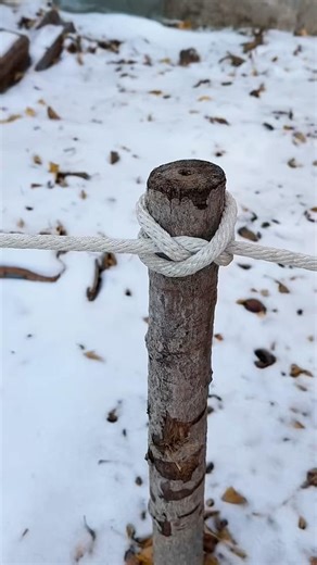 Great Constrictor Knot ❗️#knot #technique #rope