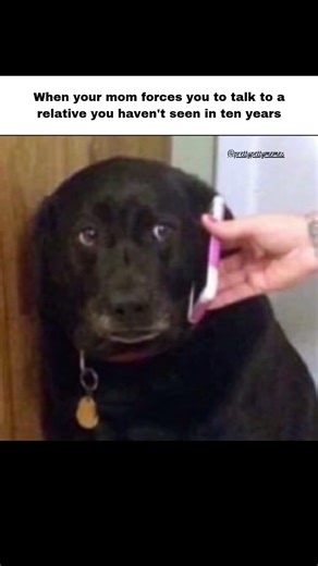 Do you remember me? My brain: 404 error 😭🤦 #memes#lol#funny#comdeymemes#memesdaily#relatable#laugh