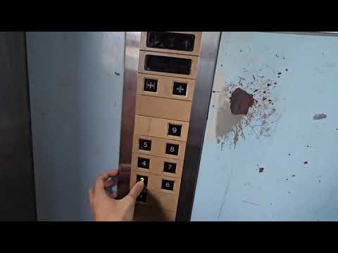 Kamotsu Erebētā! Toshiba cargo lifts at MacTech Building