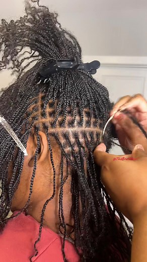 The Braid Goat on TikTok