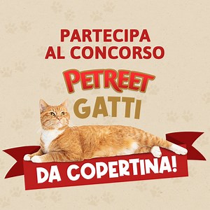 146 reactions · 187 comments | Partecipa al concorso Petreet, Gatti...