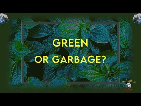 Greenwashing: Green Waste or… Just Trash?