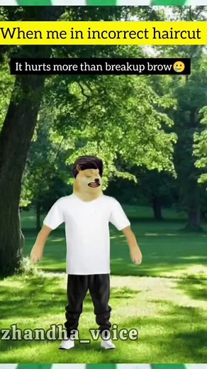 cheems_arakzz (@cheems_arakzz)’s videos with original sound - cheems_arakzz