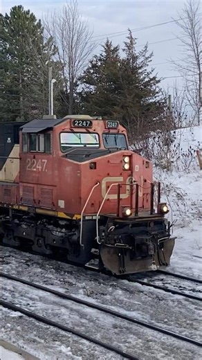 CN train under a bridge