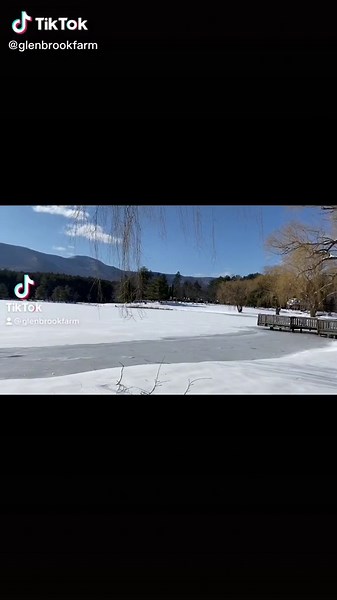 Exploring Glen Brook Farm: A Catskills Getaway