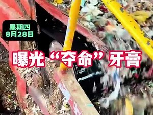 沐侣牙膏功效