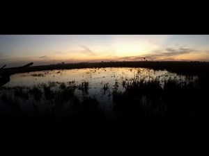 Cuttem All Jack - Duck Hunting Music Video!