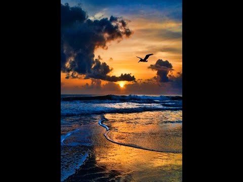 fleetwood mac ♦ albatross ♦ stereo remix