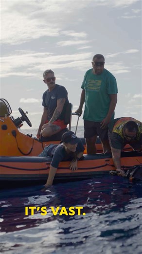 9.6K views · 127 reactions | From the surface to the seafloor, the...