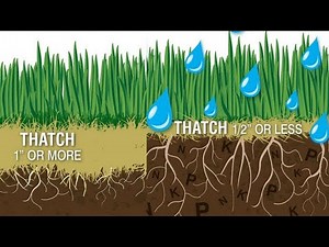 How to use a greenworks dethatcher and revitalize your lawn. Plus tips and tricks.
