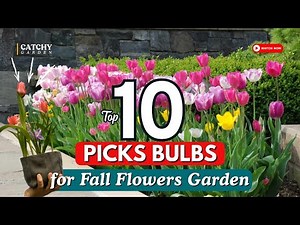 Top 10 Flower Bulbs to Plant in the Fall! 🌱🌷🌼