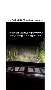 “play the jeepers creepers song” let’s not. via: tt/kelliemarines You know those moments where everything feels just a *little* too quiet, a bit suspenseful? Like you’re venturing through some narrow, overgrown path, deep within what feels like a labyrinth of stalks, the air thick and hushed. Then, *bam!* Without warning, the entire world decides to give you a violent, unexpected jolt, shaking every bone in your body. For a solid second, your brain is just processing static. You’re not sure if y