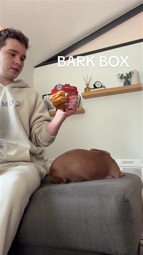 Unboxing the Bark Box of the Month with Exciting Toys