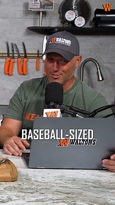 1.5K views · 17 reactions | What would you do during a tarantula warning? #podcast #spiders | Walton's Inc | Facebook