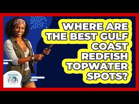 Where Are The Best Gulf Coast Redfish Topwater Spots? - Chasing Big Fish