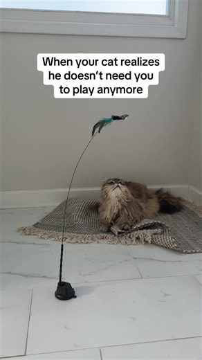 Interactive Cat Wand Toy for Independent Play