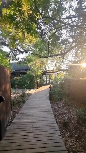 7.4K views · 88 reactions | Join Francois Fourie on a tour of the...