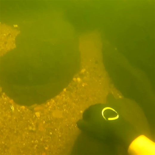 I had to dig for this! 🪏 | D ALL MY D