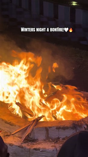 Cozy Winter Night by the Bonfire: Embrace the Chill