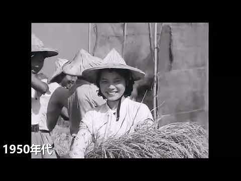【1940~1970年代】早期台灣農村生活樣貌珍貴(原始風貌)畫面：Taiwan｜紀錄片｜懷舊｜回憶｜甘庶收成｜農村｜水稻收成