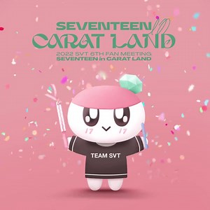 Bongbong is finally back to Carat Land with the sogo merch, cute!!!😩❤ — beanie🧢 | 세븐틴 CARAT
