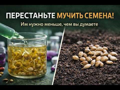 Перестаньте мучить семена! Что им реально нужно