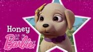 Meet Chelsea’s Puppy, Honey! Barbie & Her Sisters in a Puppy Chase Barbie