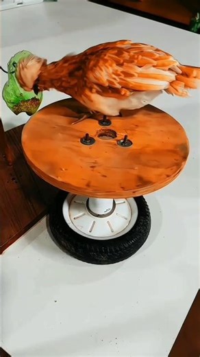 Modern DIY Rotating Chicken Feeder 🐓🔄