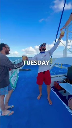 A Key West Adventure for Every Day of the Week 🌊
