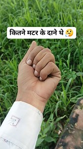 1.1K views · 20 reactions | कितने मटर के दाने थे 樂 #eyetestchallenge #brainteaser #quiz #reels #trendingreel | Creator Lav | Facebook