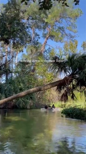 This clear kayak ecotour in Central Florida is one you don't want to miss! 🛶☀️