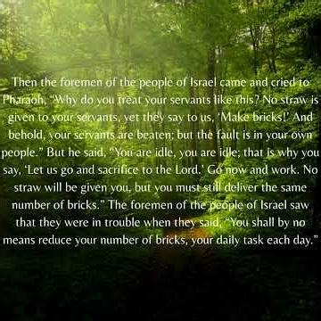 Exodus 5 Making Bricks Without Straw Biblical Wisdom