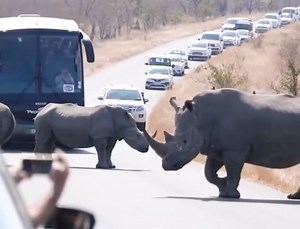 20K views · 115 reactions | On strike  | David Benoit | Facebook