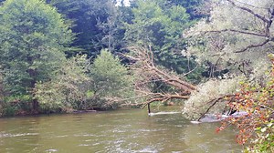 Warnung vor Sturmschäden: Baden und Bootfahren in der Amper sehr gefährlich