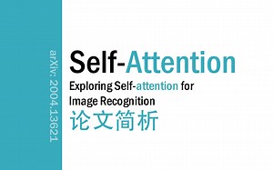 [论文简析]Exploring Self-attention for Image Recognition[2004.13621]