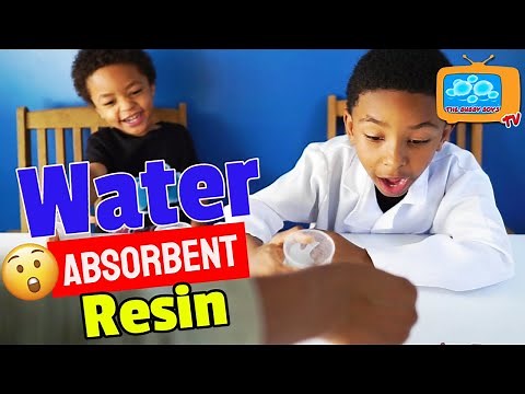 WATER ABSORPTION EXPERIMENT - Fun DIY KIds Science| ABSORB LIQUID TEST