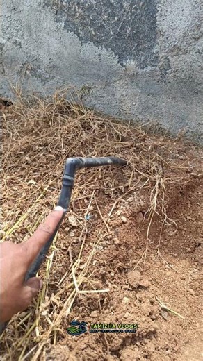 Wrong Elbow ❌ Right Joiner ✔️ #tamizhavlogs#trendingnow#trending#shorts#dripirrigation#drip#agri