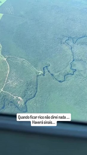 Sinais do Cerrado: Conexão com a Natureza e a Vida no Campo