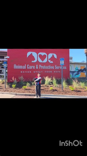 141 reactions · 68 comments | Why we want to move from a 6 day stray...