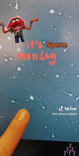 One marker of healthy sperm is forward progression. Meaning, how well does the sperm move in a straight line from point a to point B most of the other sperm in this sample? Do you have normal forward progression but there is clearly abnormal motility in this particular sperm. It would be less likely that a sperm with this type of abnormal movement would make it to an egg. #monday #muppets #menshealth #ttc #wild #health