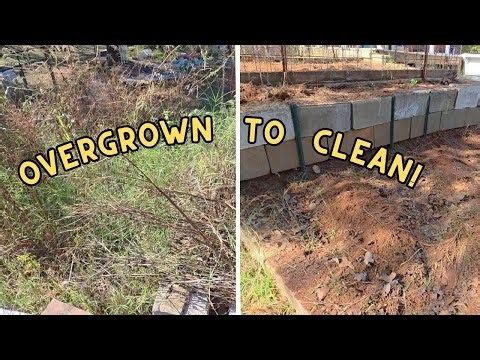 Remove Weeds From The Worst Overgrown Garden Bed Of 2025!