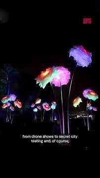 POV: You found the best holiday lights in SF