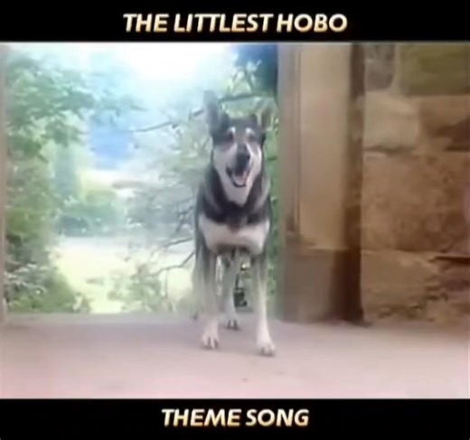 The Littlest Hobo - Classic TV Series Intro #ClassicTVintro #ClassicTV #littlesthobo | Monique West - Singer