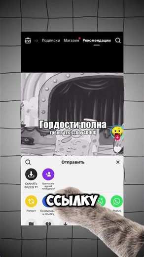 КАК СКАЧАТЬ ЛЮБОЙ ТИКТОК? ПОКАЗЫВАЮ НА КОТЯТАХ