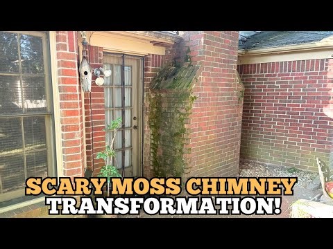 How I PRESSURE WASHED moss - covered bricks!