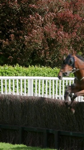 Descubre el recorrido más largo en las carreras de caballos