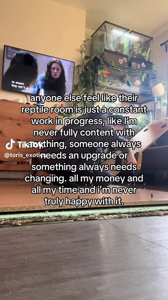 Building the Perfect Reptile Enclosure: My Journey