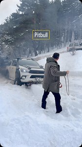 12K views · 1.9K reactions | Pitbull    Zirvenin sahipleri#toyota #hilux #keşfetteyiz #offroad #ofrroad4x4 #4x4 #adrenaline #reelsinstagram #offroading #instacool #mud #fy #fyp #fypシ #reeducaçãoalimentar #reelsvideo #istanbul #türkiye #gümüşhane #snow #gopro #arb #ironman #اكسبلور_فولو #لايك #تصوير #لايكات #تطعيس #reelsvideo @#القصيم | GüMOFF & Gümüşhane Off Road Kulübü | Facebook