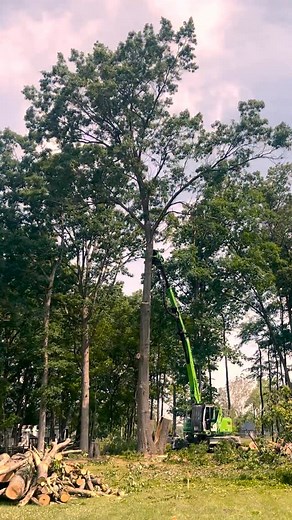 5.7K views · 1.6K reactions | Here comes the boom with the ‘bogen  #sennebogen718 #treework #treeremoval #crash #boom #heavyequipment #sennebogenoperator #operator | Sennebogen Tree Care Division | Facebook