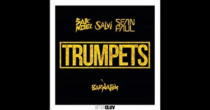 Trumpets (feat. Sean Paul) - Single by Sak Noel & Salvi on Apple Music